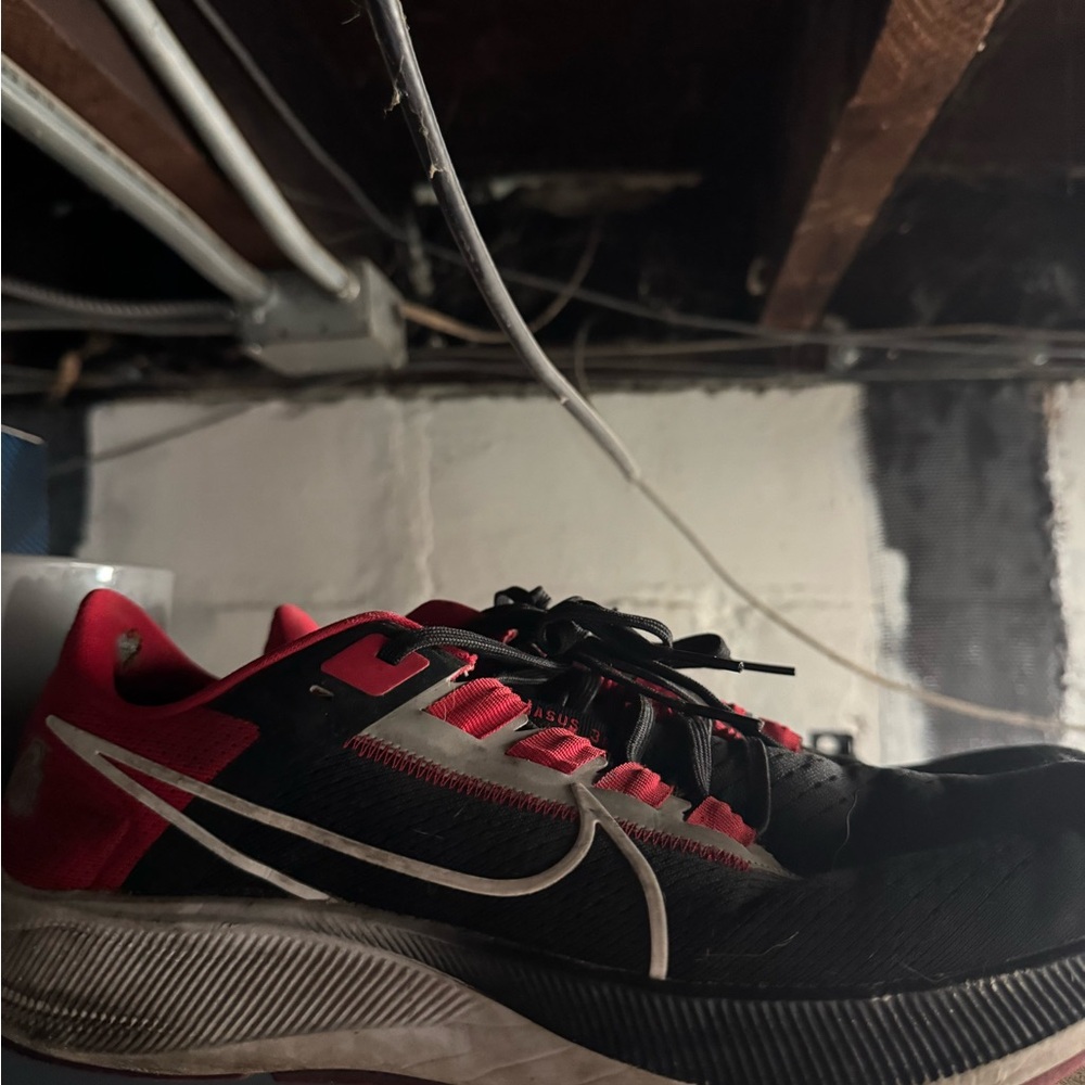 Nike Ohio State Pegasus shoes